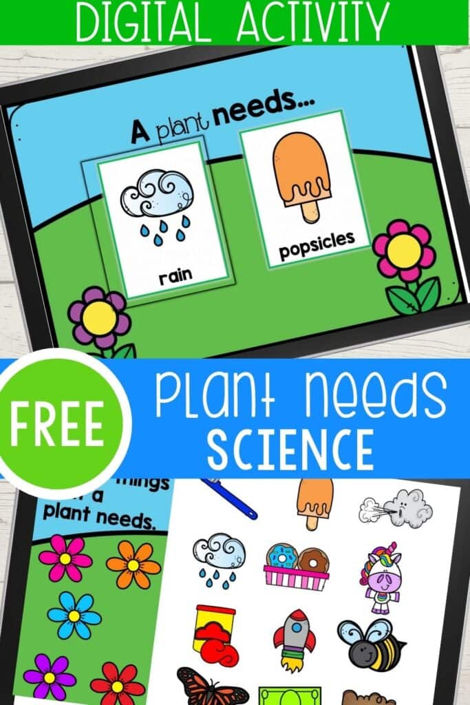 what does a plant need digital kindergarten science activity