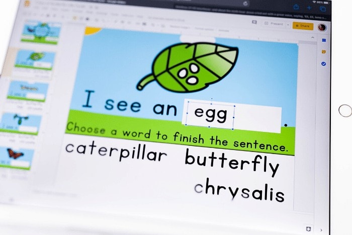 Free butterfly life cycle activity for kindergarten and 1st grade. These free Google Slides and Seesaw butterfly life cycle activities are perfect for spring and insect science activities.