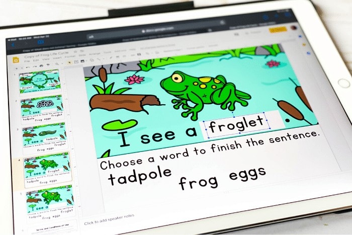 Free Frog Life Cycle activity for kindergarten. Learn the stages of the frog life cycle: eggs, tadpole, froglet, and frog with these simple reading activity for your life cycle science unit.