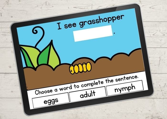 The Digital Grasshopper Life Cycle Activity slide for "eggs".