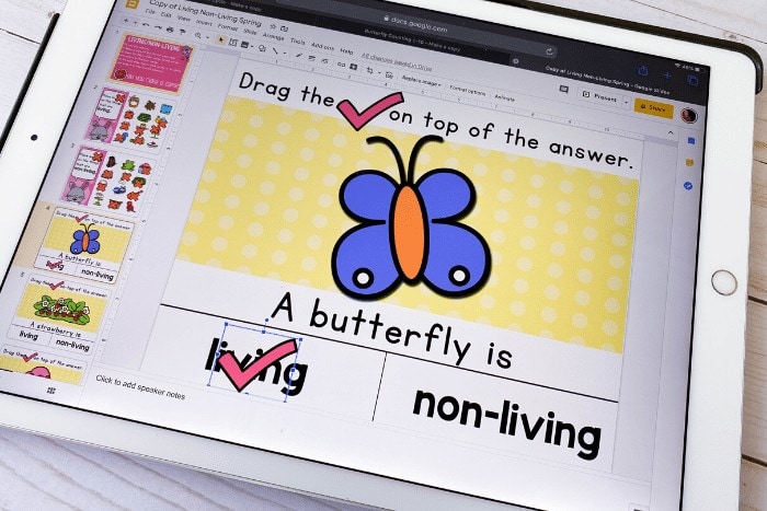 Free Living/Non-Living Things science activity for kindergarten and preschool. Learn about what things are living and what things are non-living with these simple Google Slides and Seesaw activities.