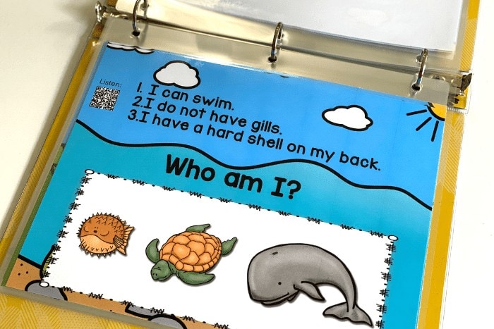 Free printable and digital ocean animal riddles for preschool. These "Who am I?" riddles will help kids identify colors, characteristics, and differentiating qualities for ocean animals. The digital ocean animal riddles are self-checking and have audio to help preschoolers learn independently. The printable riddles have QR codes for the preschoolers to hear the clues.
