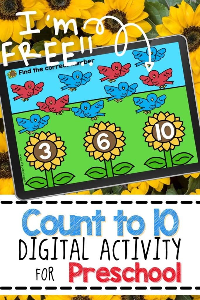 Free Bird Counting Digital Activity for Preschool