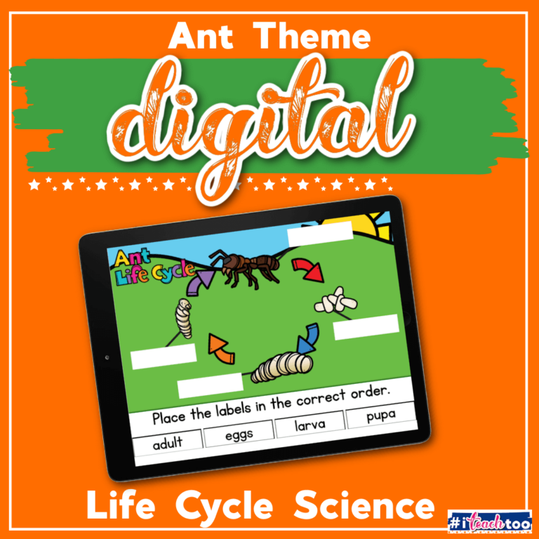 ant life cycle featured image