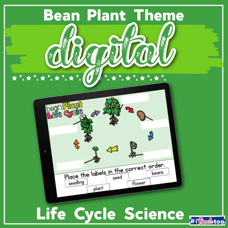 Life Cycle of a Bean Plant Activities for Kids