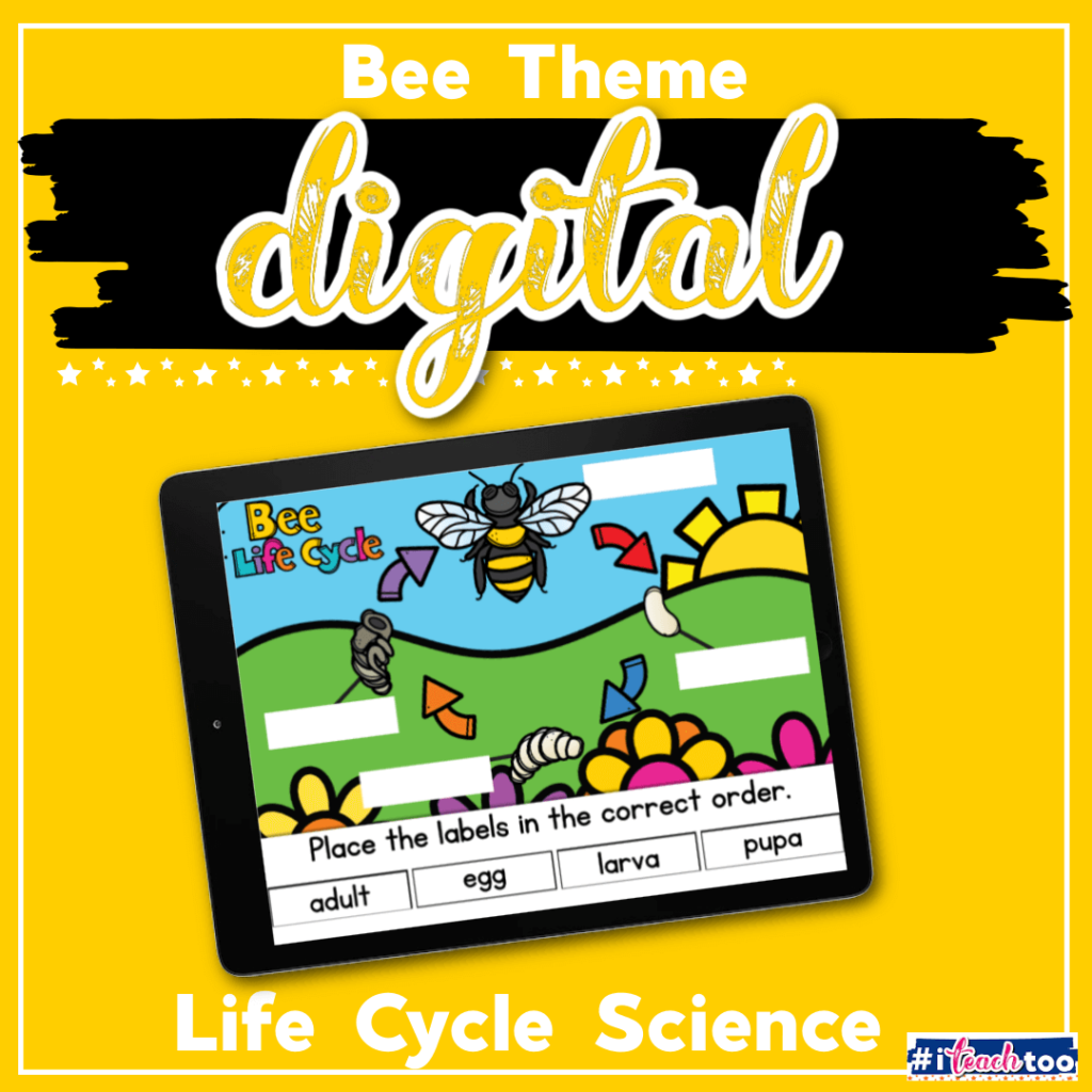 Bee Life Cycle Digital Science Activity