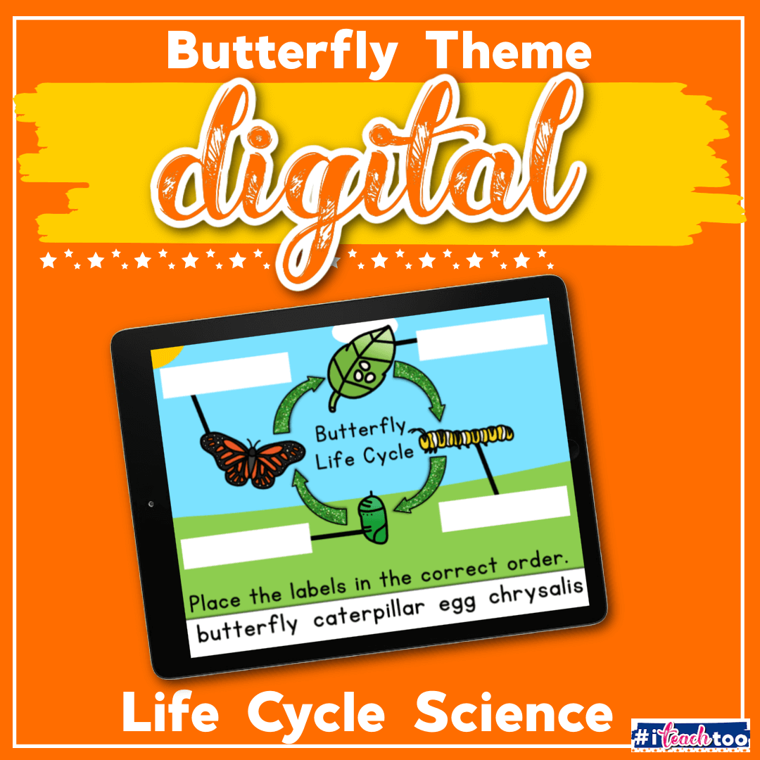 Life Cycle of a Butterfly Activity for Kids
