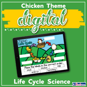 Free Chicken Life Cycle Featured Square Image