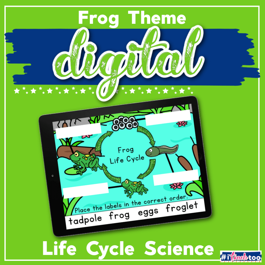 Free Frog Life Cycle activity for kindergarten. Learn the stages of the frog life cycle: eggs, tadpole, froglet, and frog with these simple reading activity for your life cycle science unit.