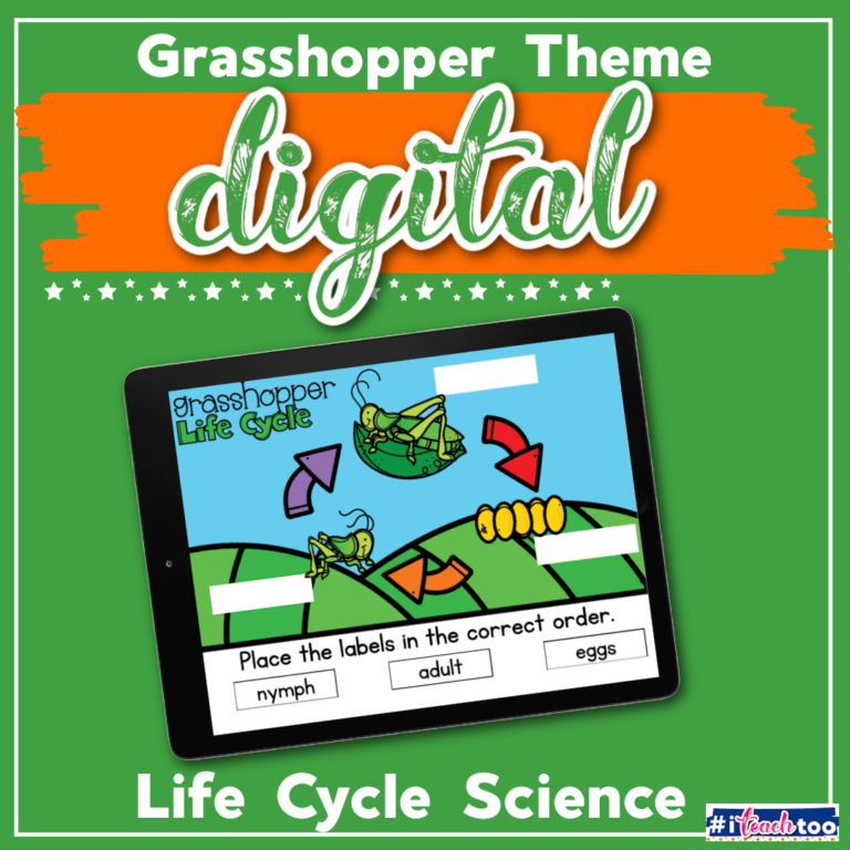 grasshopper life cycle digital square featured image