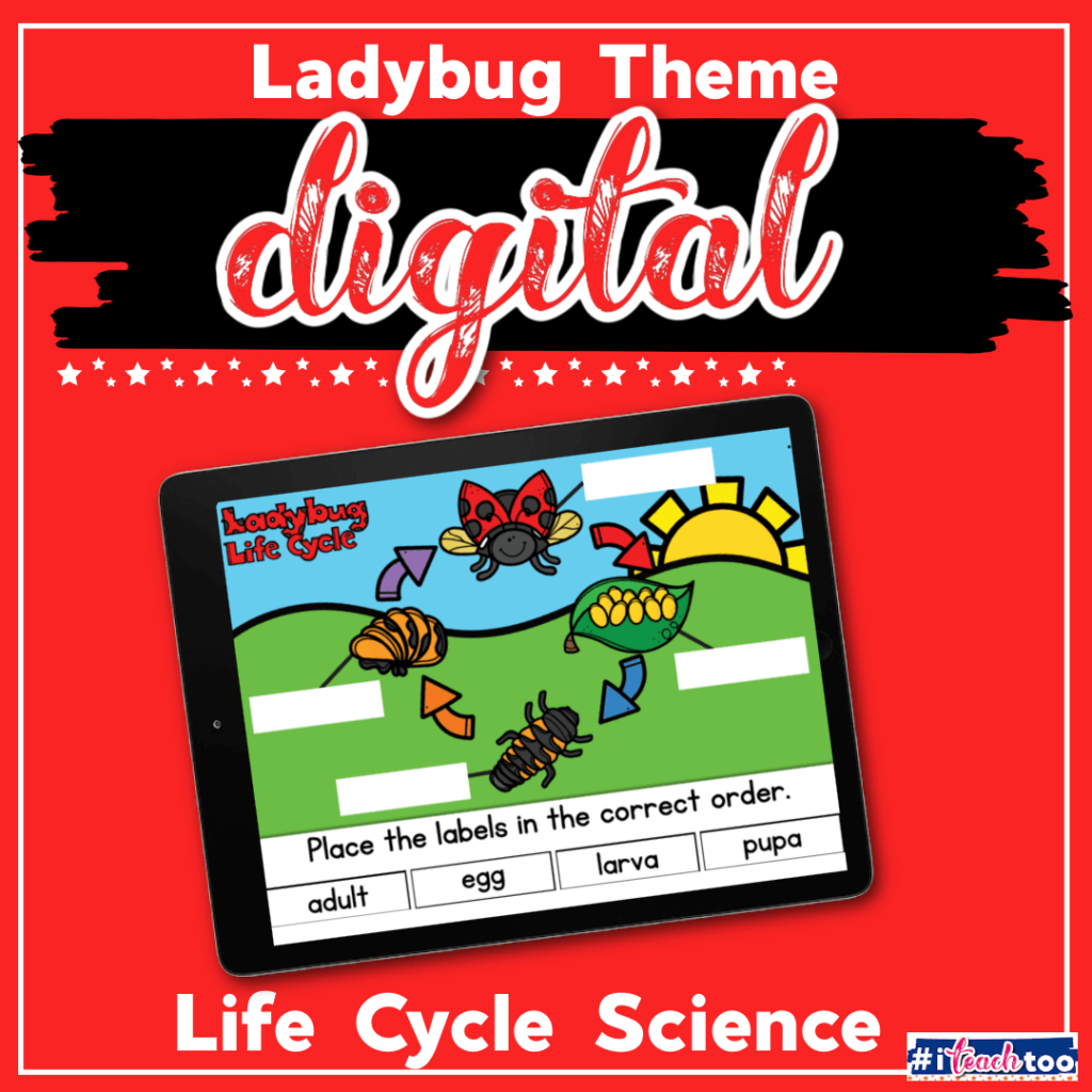 Digital Ladybug Life Cycle Science Activity