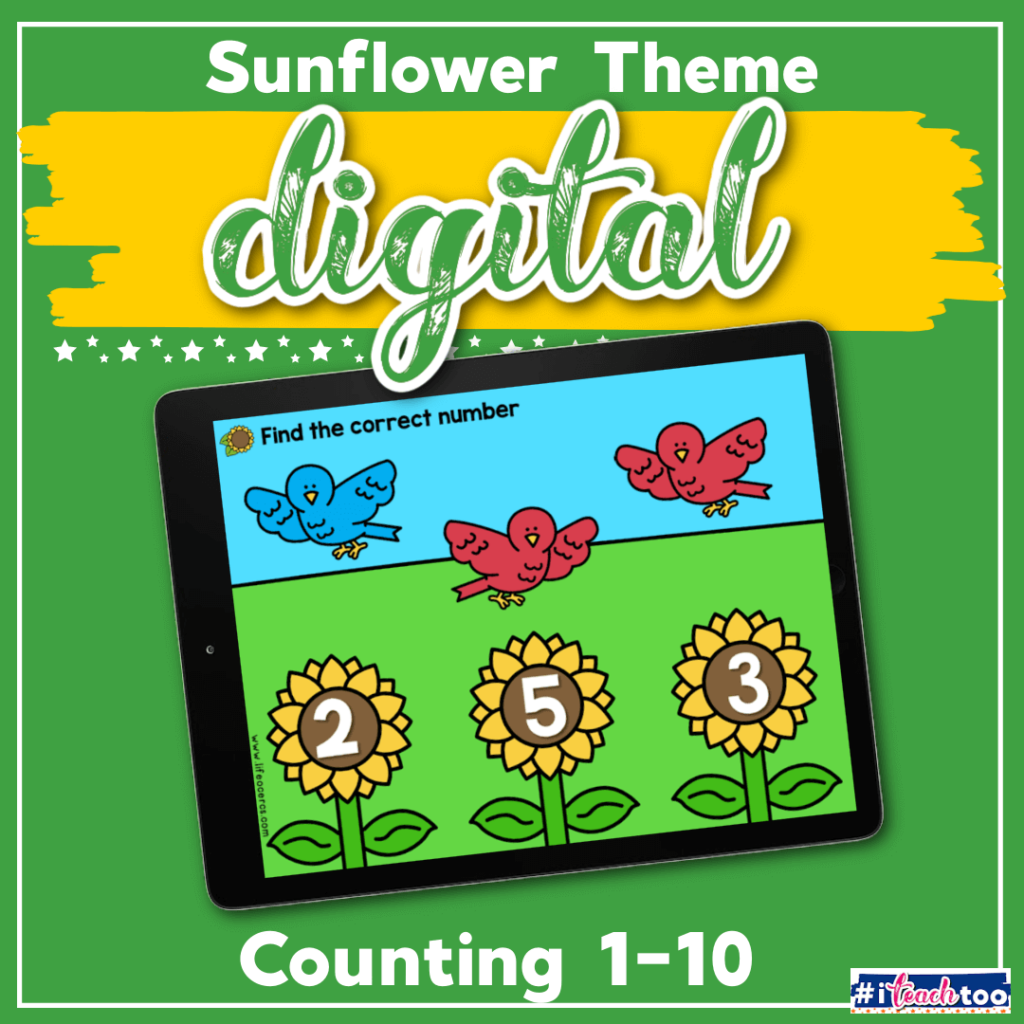 Digital Bird Theme Preschool Counting Activities featured square image
