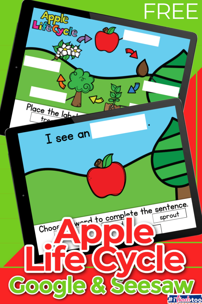 Kindergarten students identify parts of the apple life cycle in this science activity for Google Slides or Seesaw.