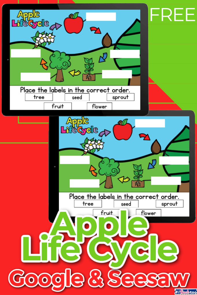 This digital kindergarten science activity teaches kindergarten students about the life cycle of apples.