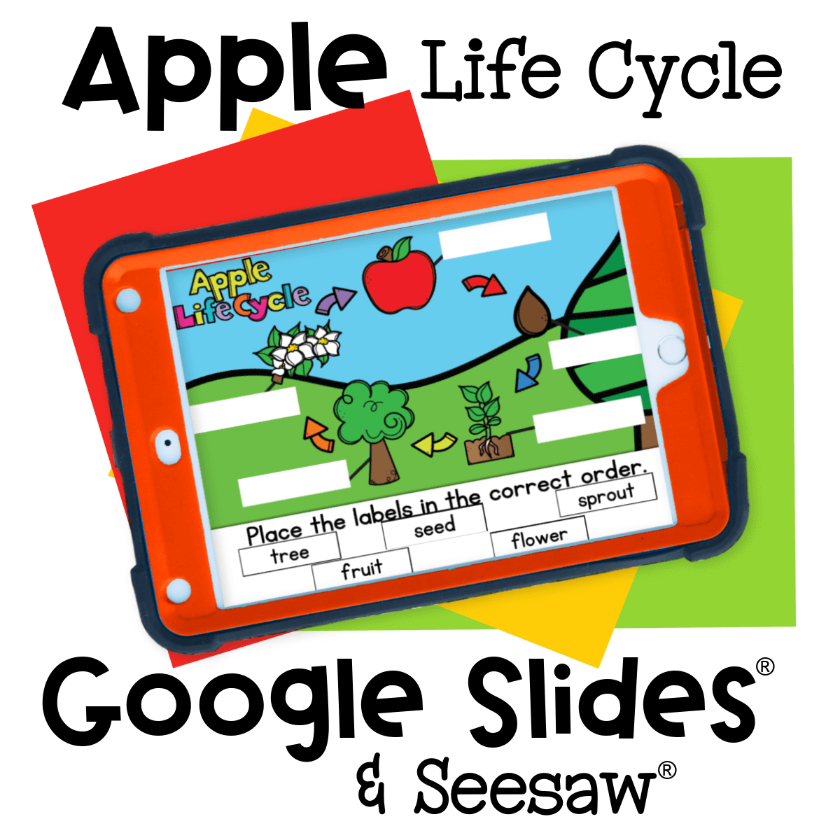 Apple life cycle drag-and-drop activity for early learners to label seed, sprout, tree, flower, and fruit on Google Slides or Seesaw.