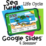 Digital Science Life Cycle of a Turtle for Kids 25 Sea Turtle life cycle activity for preschool and kindergarten on Google Slides and Seesaw. Kids drag and drop labels like egg, hatchling, juvenile, and adult to learn science concepts interactively.