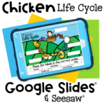 Chicken life cycle Google Slides and Seesaw activity for preschoolers and kindergartners. Students identify and label stages: egg, embryo, hatchling, chick, and adult chicken.