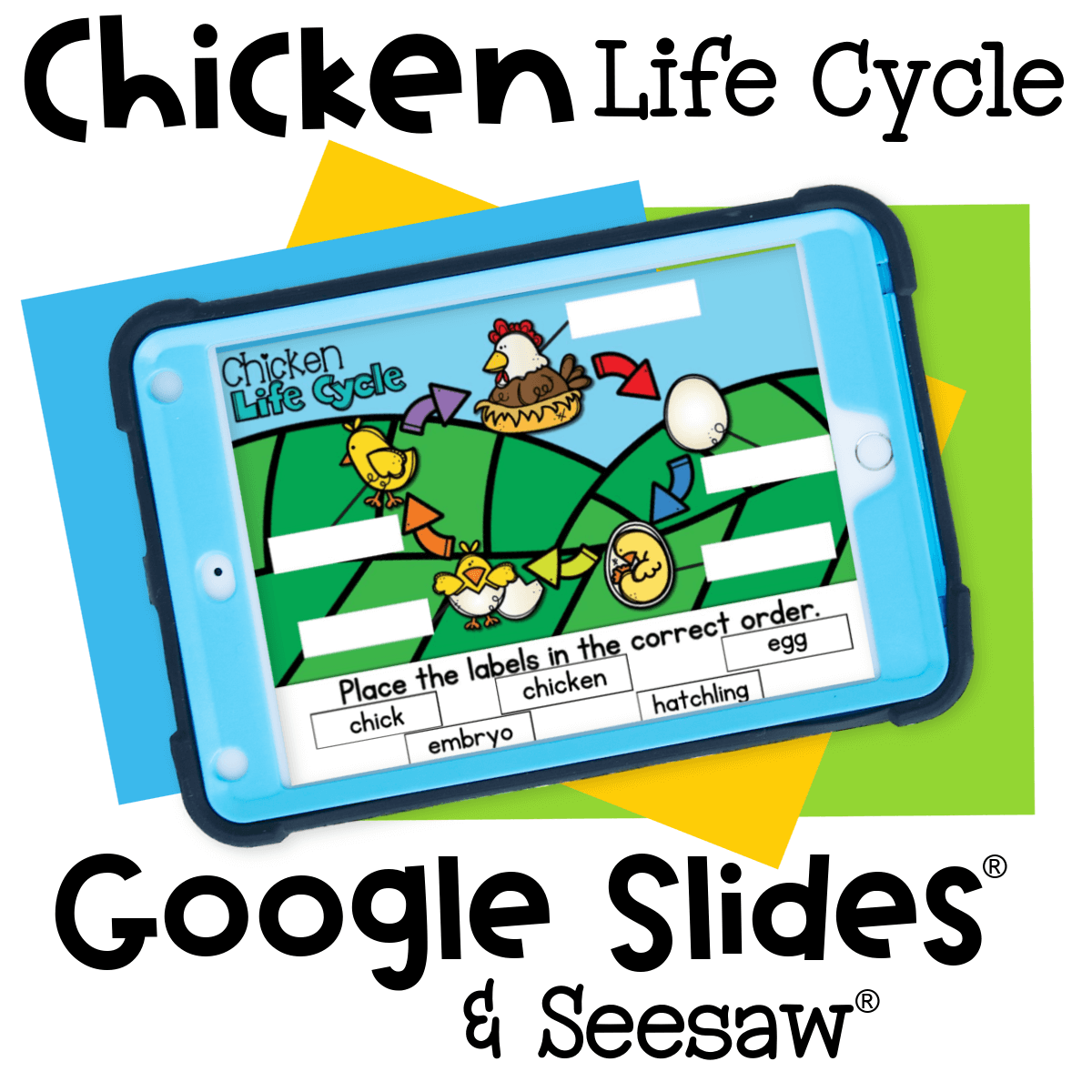 Chicken life cycle Google Slides and Seesaw activity for preschoolers and kindergartners. Students identify and label stages: egg, embryo, hatchling, chick, and adult chicken.