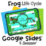 Life Cycle of a Frog Reading Activity for Kindergarten 26 Interactive frog life cycle activity for preschool and kindergarten. Students label stages from egg to froglet using Google Slides or Seesaw.